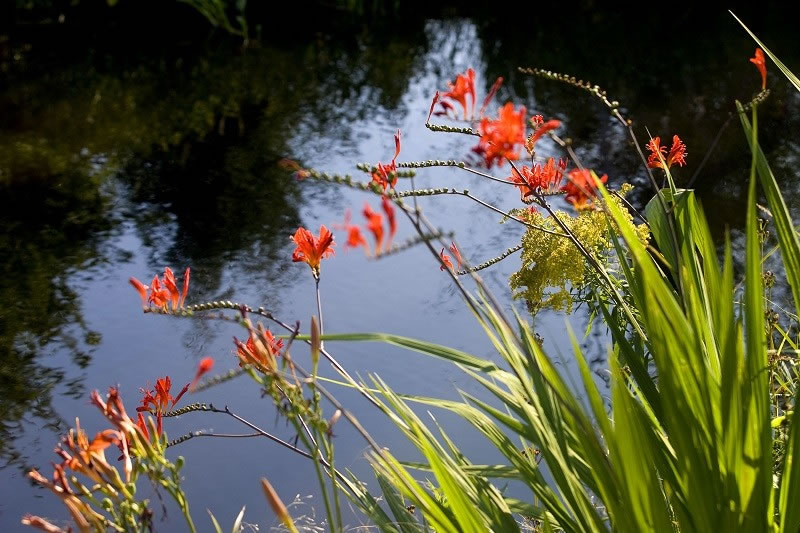 Jardin Saint-Élysée de Bersimis
