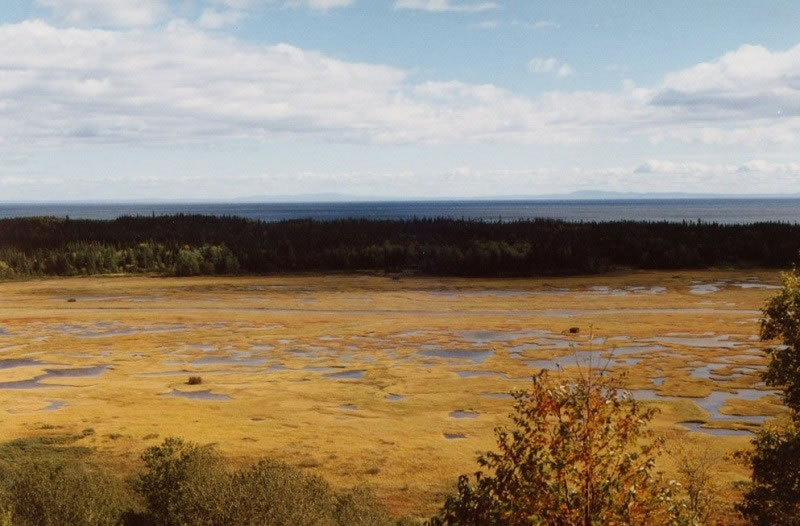 Marais à Hickey dans le secteur de Rivière Bersimis